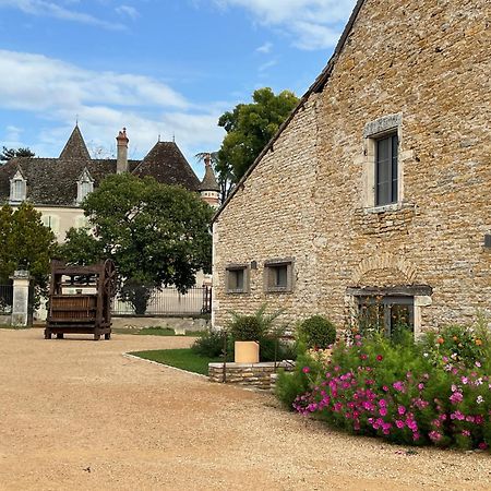Chateau Du Mauny, Gites Et Chambres D'Hotes En Bourgogne Rosey Экстерьер фото