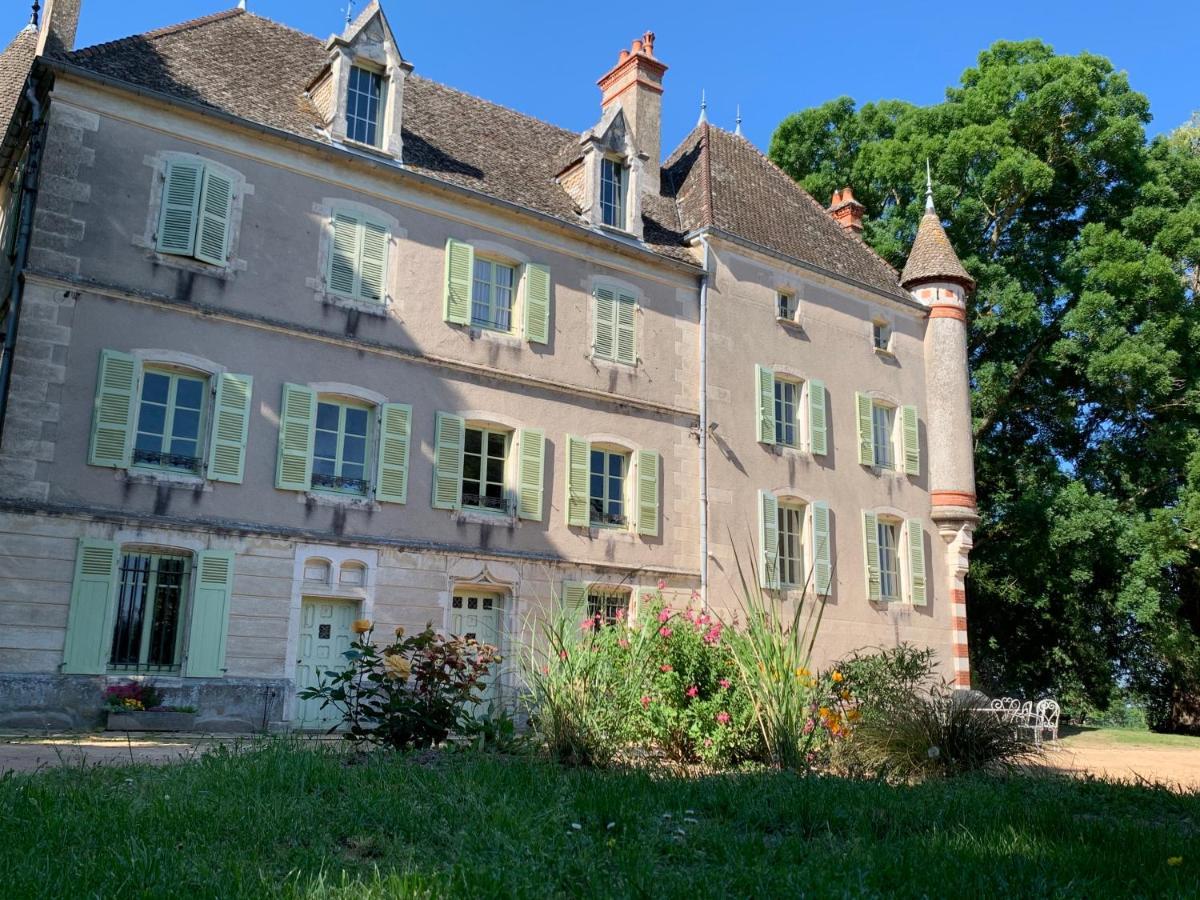 Chateau Du Mauny, Gites Et Chambres D'Hotes En Bourgogne Rosey Экстерьер фото