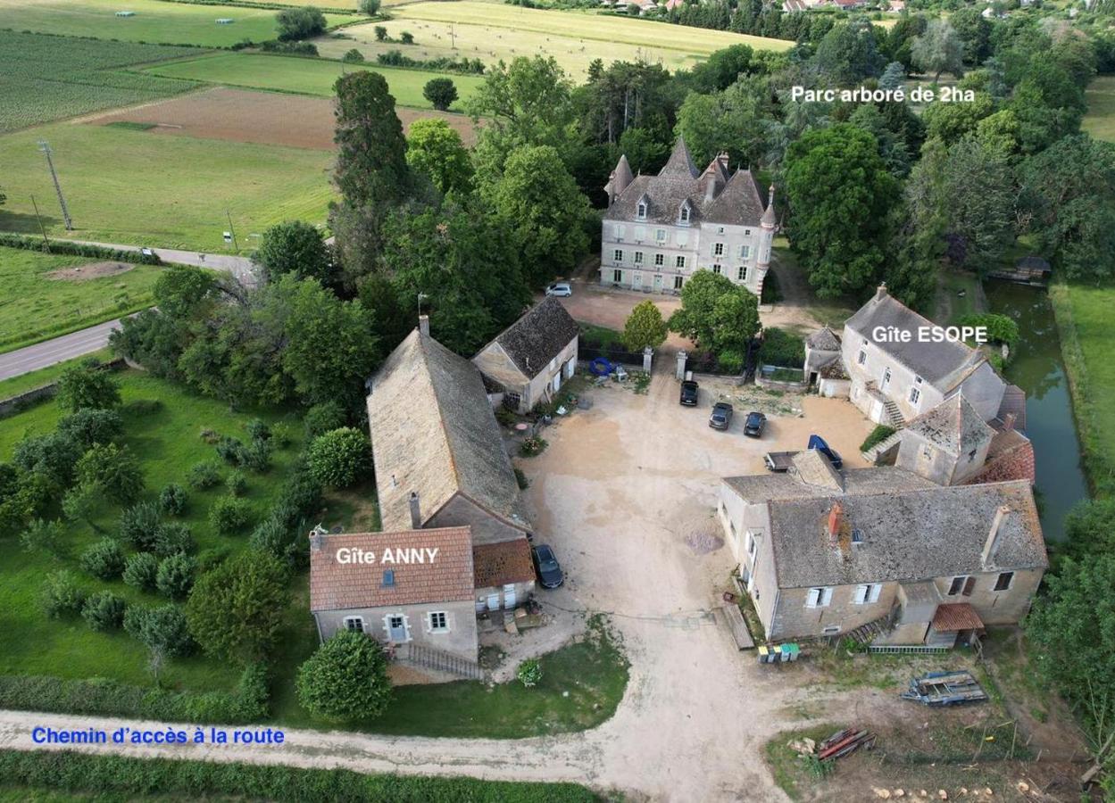 Chateau Du Mauny, Gites Et Chambres D'Hotes En Bourgogne Rosey Экстерьер фото
