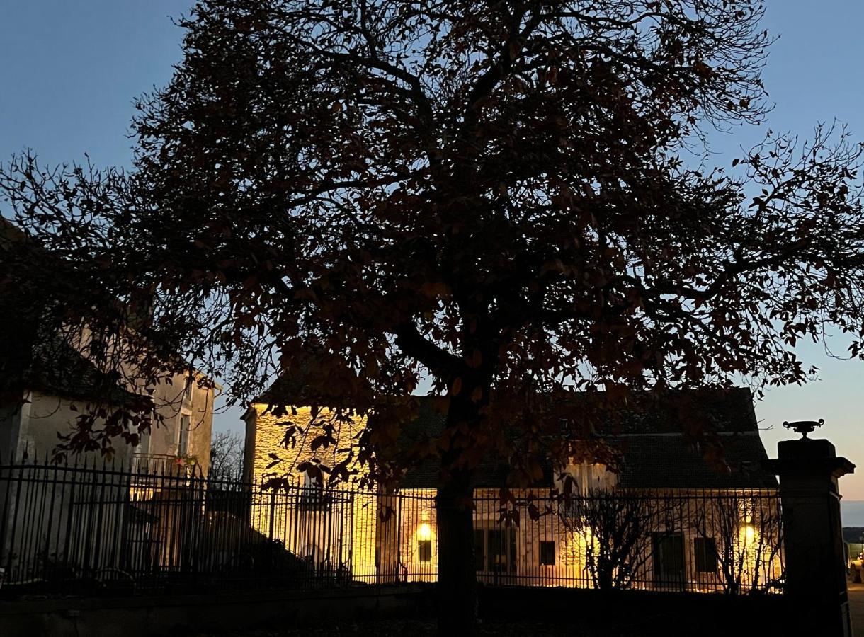 Chateau Du Mauny, Gites Et Chambres D'Hotes En Bourgogne Rosey Экстерьер фото