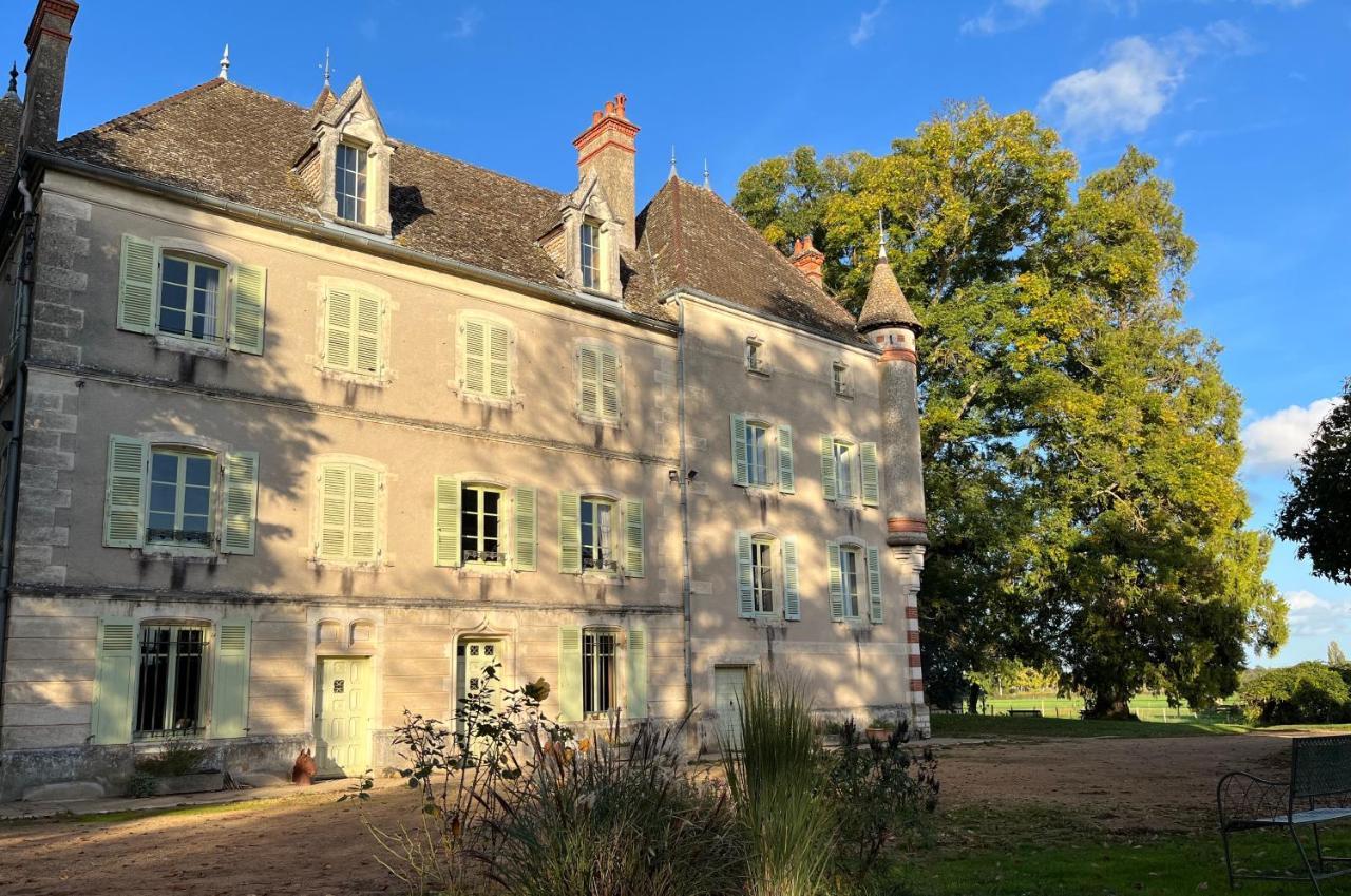 Chateau Du Mauny, Gites Et Chambres D'Hotes En Bourgogne Rosey Экстерьер фото
