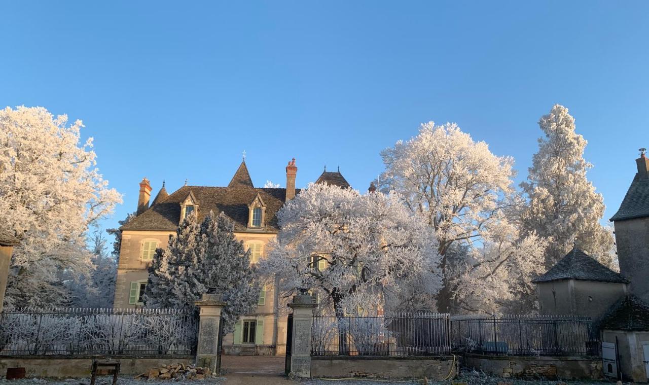 Chateau Du Mauny, Gites Et Chambres D'Hotes En Bourgogne Rosey Экстерьер фото