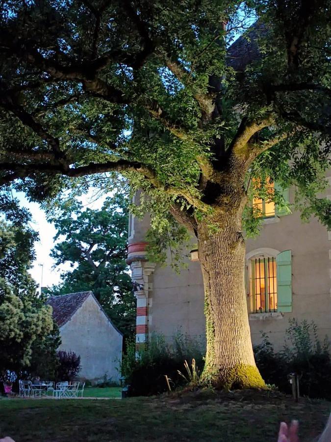 Chateau Du Mauny, Gites Et Chambres D'Hotes En Bourgogne Rosey Экстерьер фото