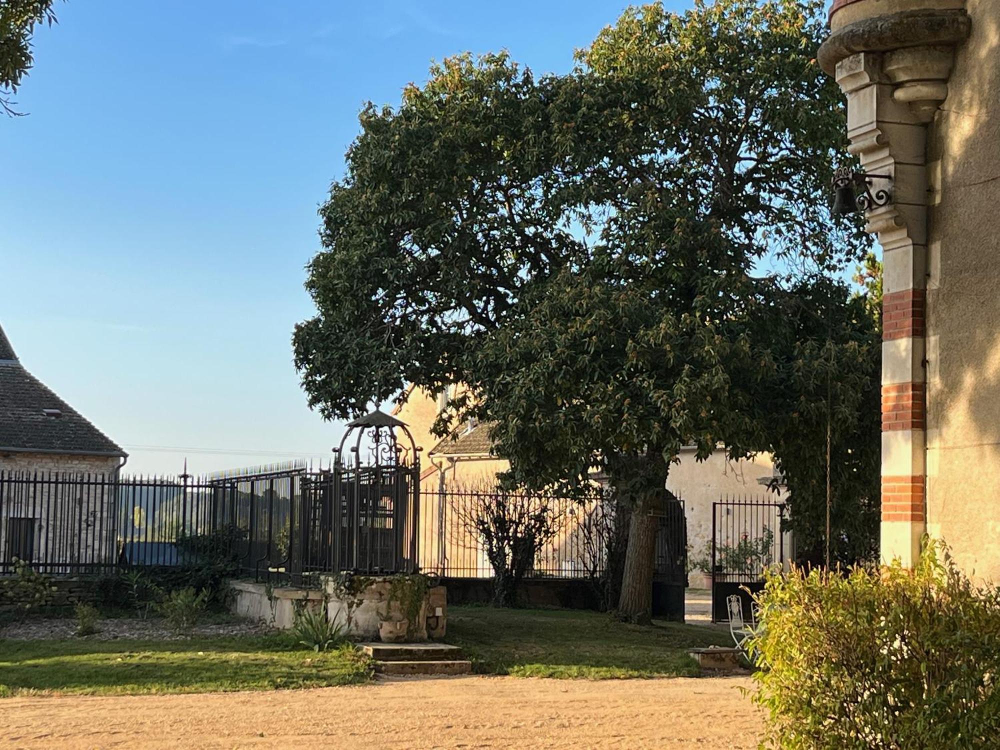Chateau Du Mauny, Gites Et Chambres D'Hotes En Bourgogne Rosey Экстерьер фото