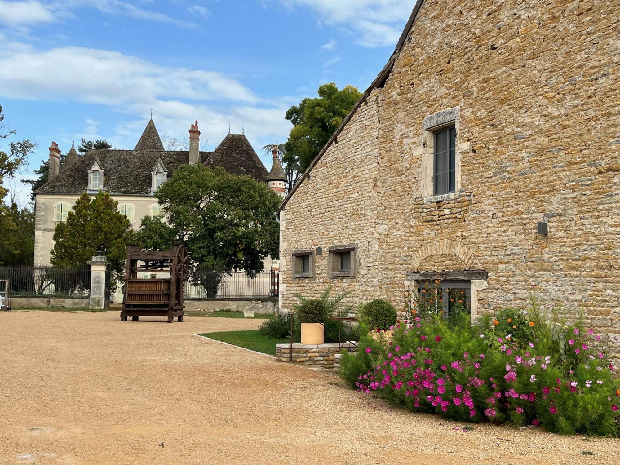 Chateau Du Mauny, Gites Et Chambres D'Hotes En Bourgogne Rosey Экстерьер фото